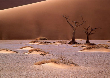 تحميل مجاني أجمل صور في الصحراء Desert Images Free Download- عالم الصور